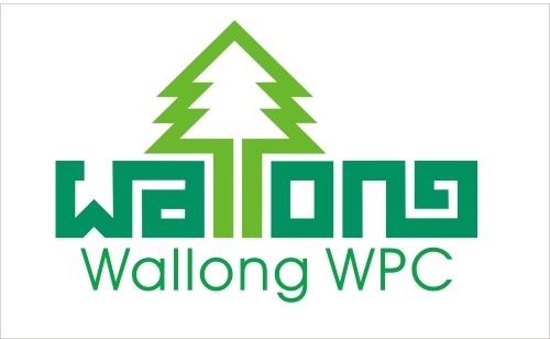 Shantou wallong technology Co., Ltd.