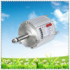 Wind Turbines Generator with 600W Power, High Efficiency and Long Lifespan