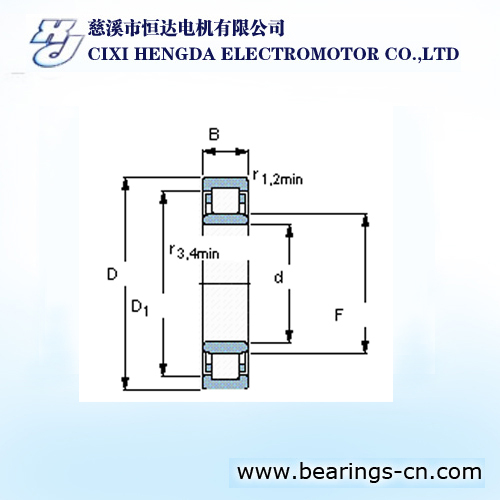 SINGLE CYLINDRICAL ROLLER BEARING