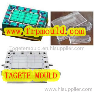 Refrigerator Mould