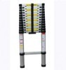 Telescopic Ladder