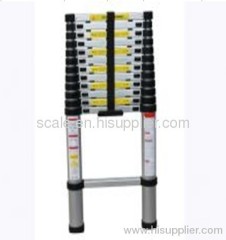 Telescopic Ladder