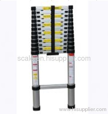 Aluminum Telescopic Ladder