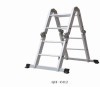 Multi-function Ladders