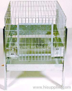 Reptile Cages