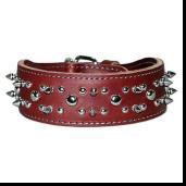 Genuine Leather Dog Collar