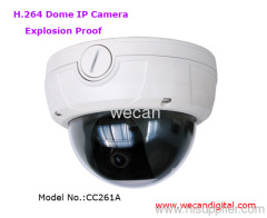 Vandal-proof IP Camera