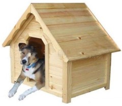 Dog Wooden House