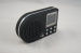 YCH-360B bird hunting mp3 player (Built-in 182 Bird sounds support 2 speakers)