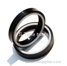 hydraulic oil seal