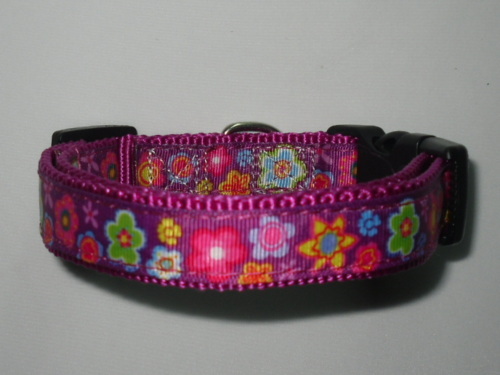 Nylon Dog Collar