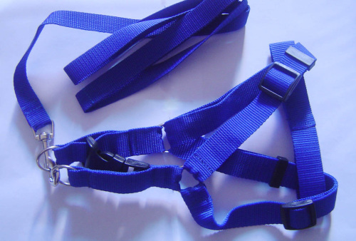 Nylon Dog Harness