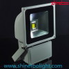 LED flood light