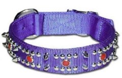 Nylon Dog Collar