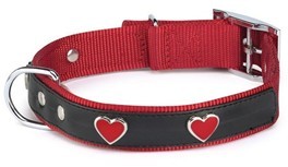 Nylon Dog Collar