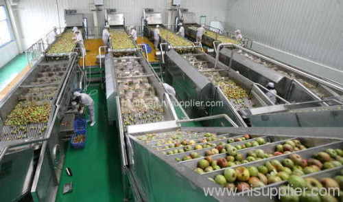 apple processing machines with highly quality and low price! apple processing, pear processing etc