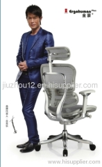 Ergohuman Chair