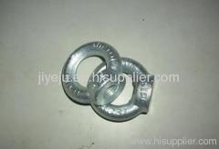 galvanized DIN582 eye nut