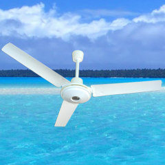 48 inch decorative ceiling fan