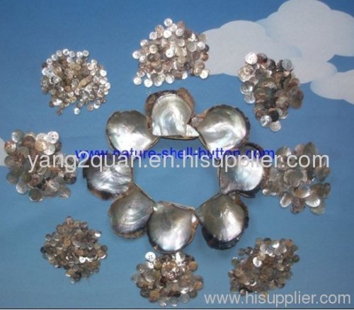 buy Agoya shell, mother of pearl, shell buttons, japanese agoya shell
