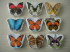 butterfly cotton pattern material compressed towel