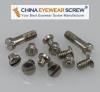 Optical Eyewire and Hinge Screw