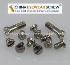 Optical Eyewire and Hinge Screw