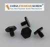 Black Oxided Stainless Steel Micro Hex Screw