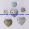 agoya flower,agoya shape,agoya shell button,nature shell button,agoya factory,agoya shell button and White snail