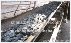 Heat Resistant Conveyor Belt