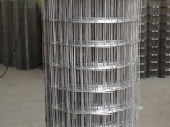 weled wire mesh