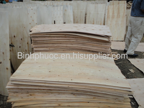 Eucalyptus Core Veneer