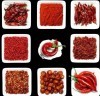 Dried red pepper chili power/ crushed/ ring/