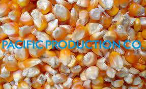 Vietnam Yellow Corn