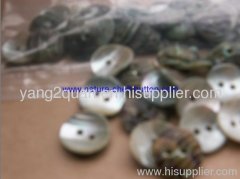 Luminous snail White snail button agoya shell button akoya shell button black shell button mop button trocas button