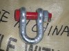 Dee type chain shackle