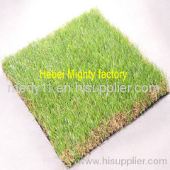 Look this is the most beautiful landscaping grass