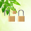 arc type brass padlock