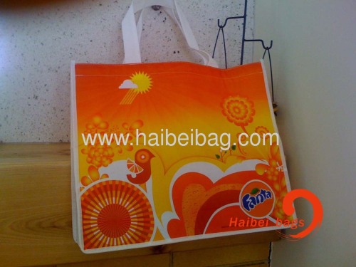 Laminated Colorful Bag