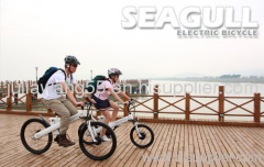 EN15194 lithium electric bicycle