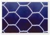 Hexagonal Wire Mesh