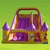 bouncer slide,blow up water slide