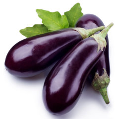 Fresh Purple Eggplant