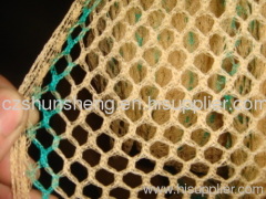 Olive Net