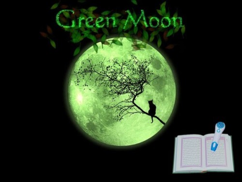 Green Moon Co.,Ltd.