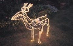 LED Rope light (Elk)