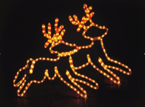 LED Rope light(Double Elk)