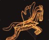 LED Rope light(Elk)