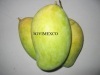 fresh mango fruit