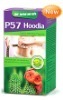 P57 Hoodia Cactus Slimming Capsule-China top herbal effective weight loss product